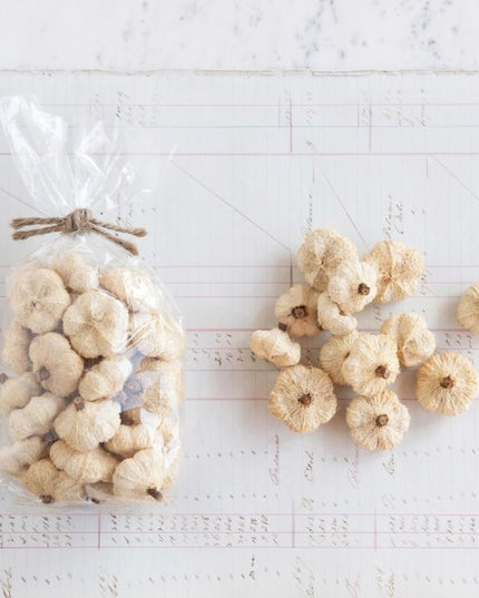 Dried Natural Peepal Pods image 0
