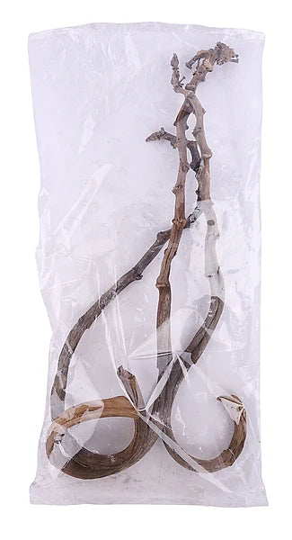 17.75"L Banana Stick Bundle x 3