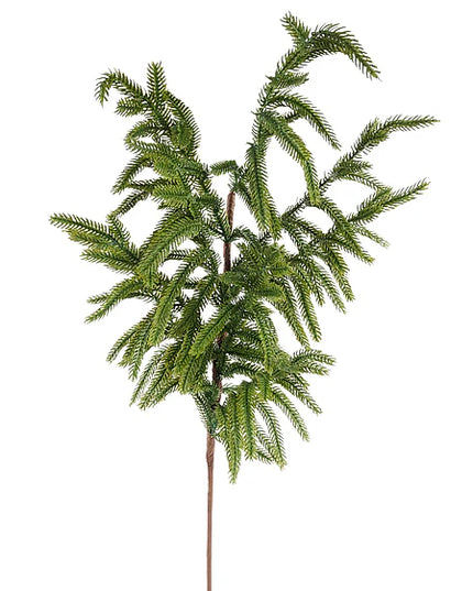 30" Norfolk Pine Spray