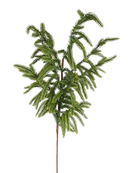 30" Norfolk Pine Spray