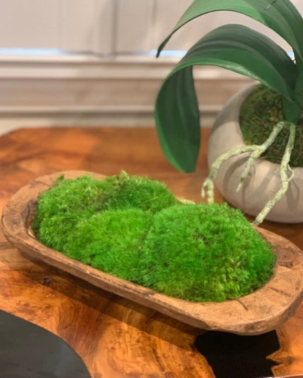 Forever Green Moss Bowl image 0