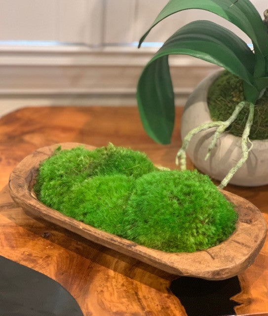 Forever Green Moss Bowl image 0