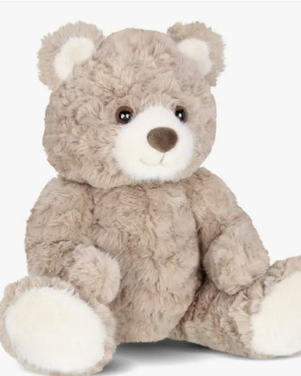 Archie the Tan Teddy Bear image 0