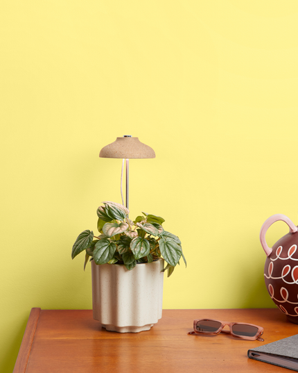 Instant Sun Extendable Grow Lamp