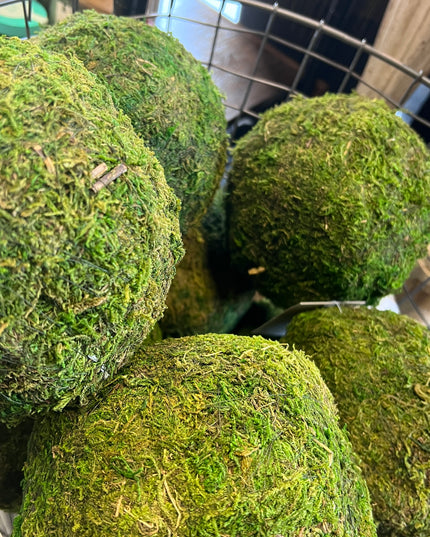Moss Ball image 0