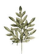 dark sage