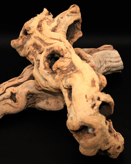 Tumbled Grapewood Log