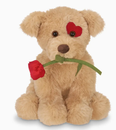 Connor Cuddlesmore the Dog