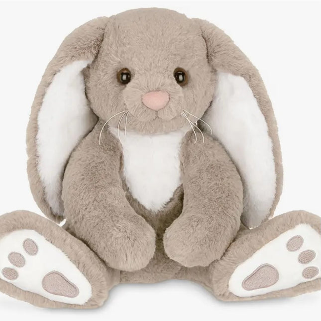 Boomer the Bunny image 0