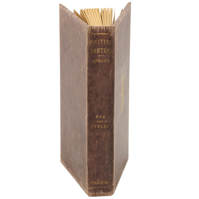 Vintage Beetle Journal image 1