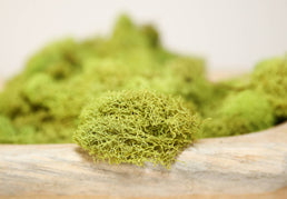 Chartreuse