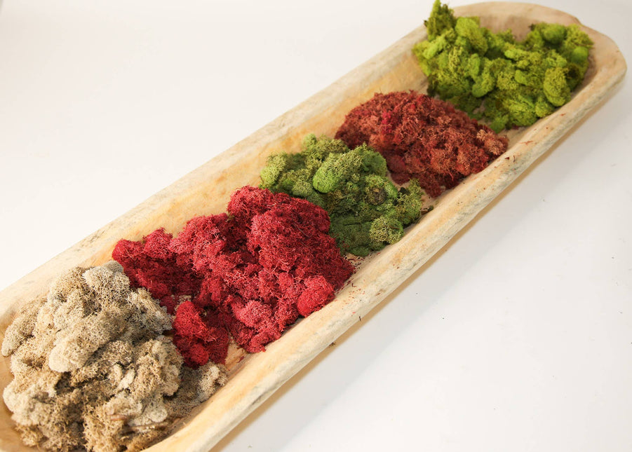 Preserved Colored Deer Moss – 4oz Bag