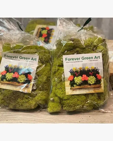 Preserved Colored Deer Moss – 4oz Bag