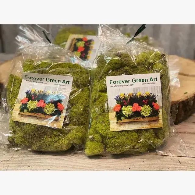 Preserved Colored Deer Moss – 4oz Bag