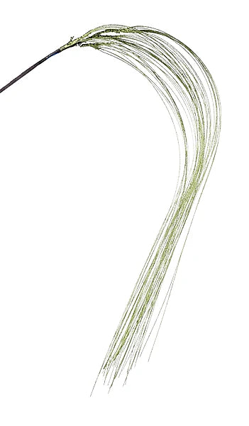 55"L Glitter Fishline Hanging Spray