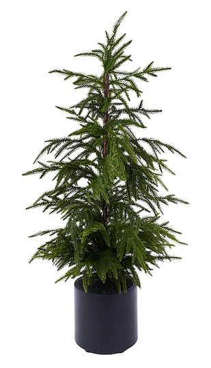 35.25"H Norfolk Pine Tree