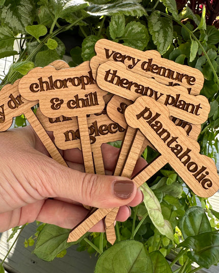 New Plant Sayings Word Bubbles Funny Plant Stakes