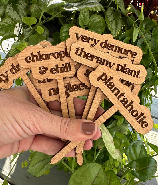 New Plant Sayings Word Bubbles Funny Plant Stakes