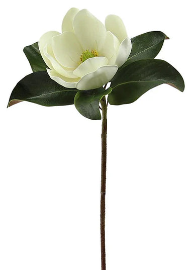 25"L Magnolia Stem