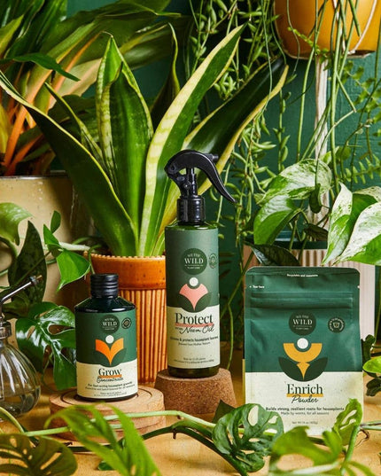Houseplant Care Essentials Organic Starter Kit