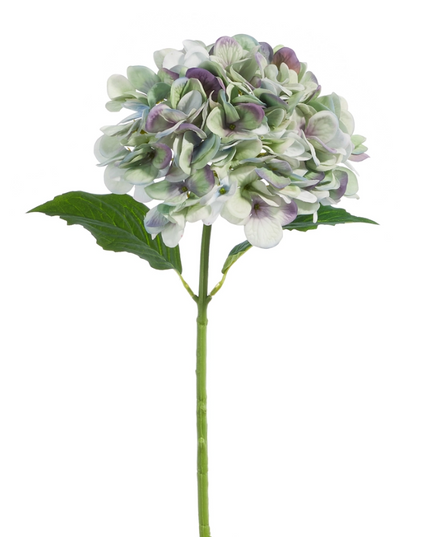 Real Touch Green and Purple Hydrangea Stem 19"