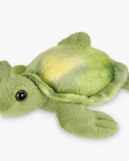 Lil Shelton the Sea Turtle image 0