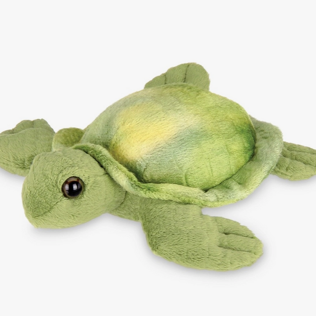 Lil Shelton the Sea Turtle image 0