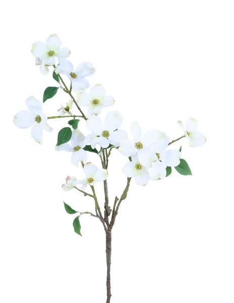 30"L Dogwood Spray