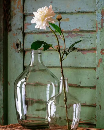 Jardin Dahlia