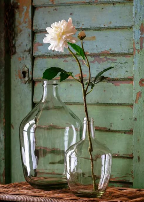 Jardin Dahlia