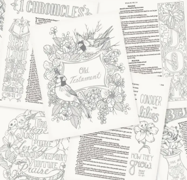 My Creative Bible KJV