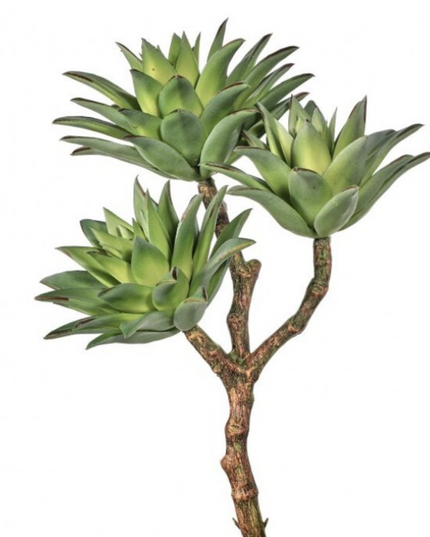 Triple Star Succulent Pick