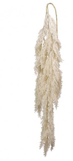 Flocked Hanging Pampus