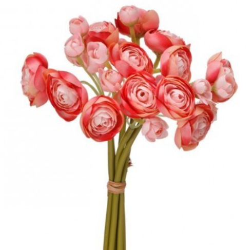 Garden Ranunculus Bundle