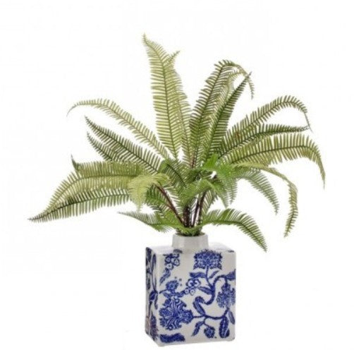 Natural Forest Fern In Blue Vase 20"