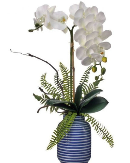 Amalfi Coast Phal Orchid 23"