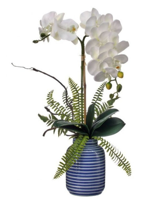 Amalfi Coast Phal Orchid 23"