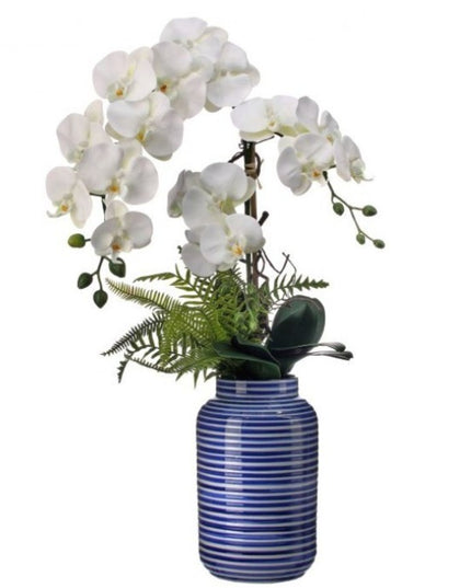 Amalfi Coast Phal Orchid 28"