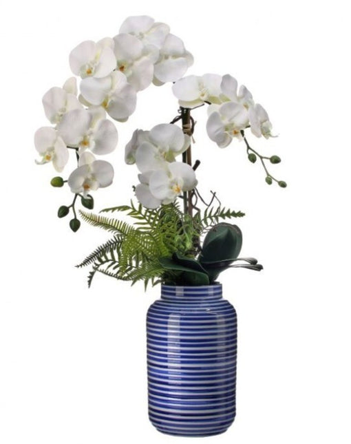 Amalfi Coast Phal Orchid 28"