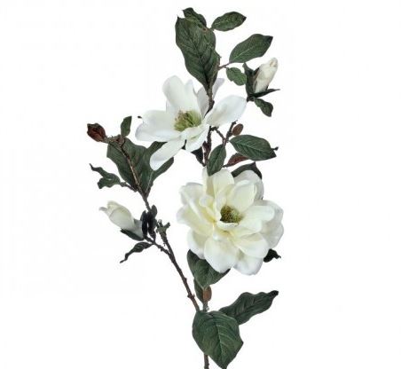 Charleston Magnolia Spray