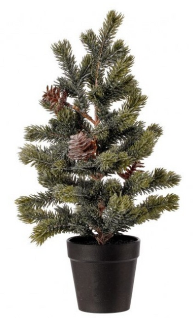 15" Potted Snowy Ridge Spruce Tree