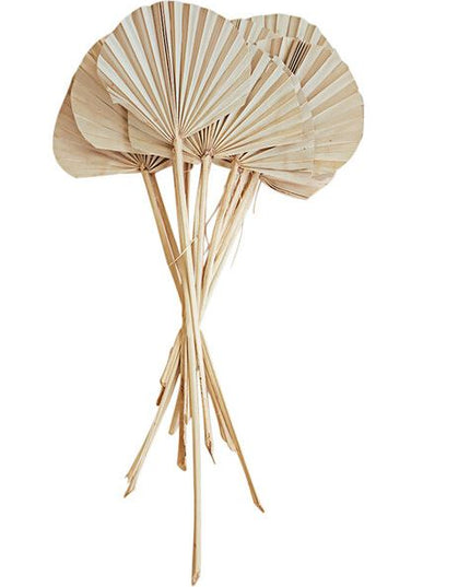 Palm Spears Rounded