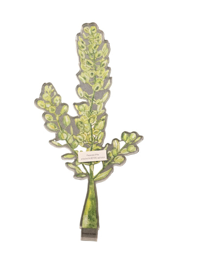 Pennycress Acrylic Stem