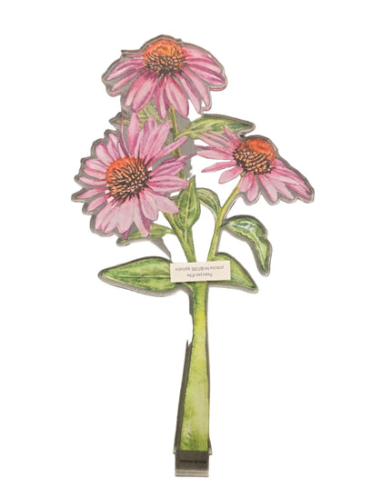 Echinacea Acrylic Stem