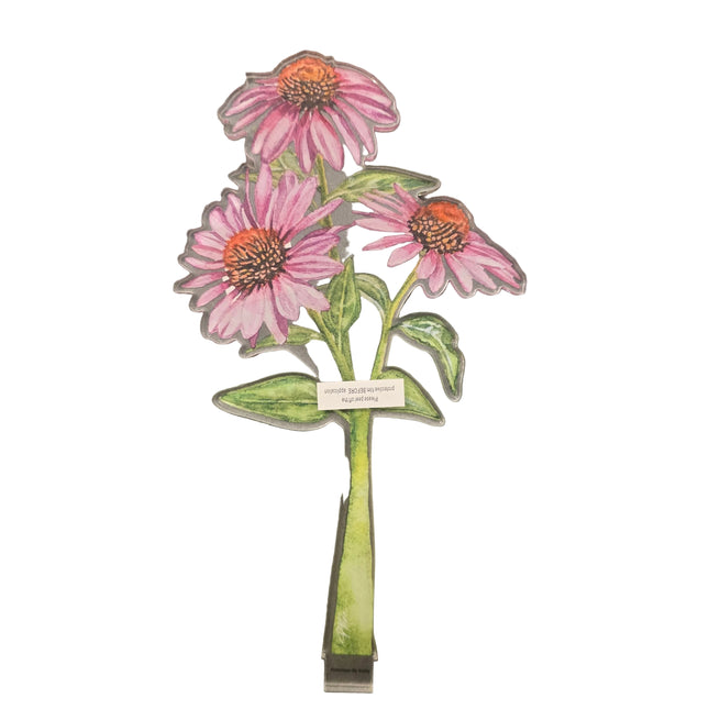 Echinacea Acrylic Stem