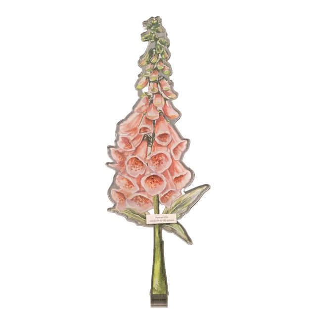 Foxglove Acrylic Stem