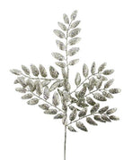 dark sage
